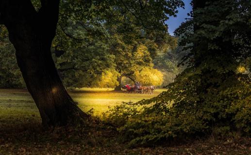 Herbstliche Kutschfahrt2018 001