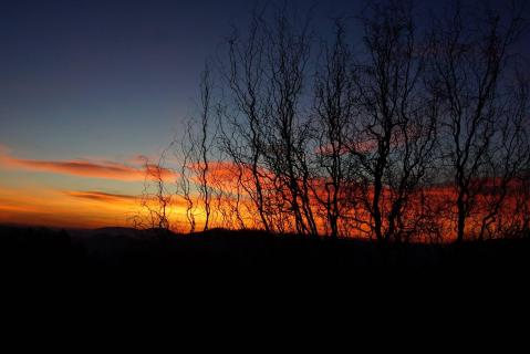 Morgenstund