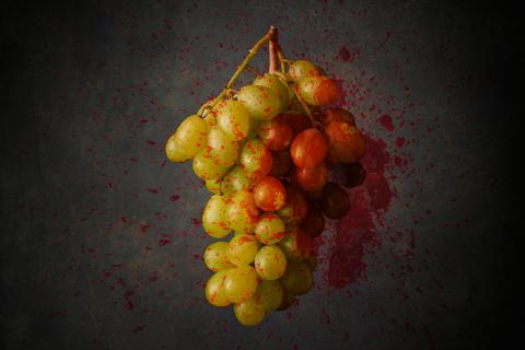 bloody grapes