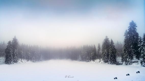 Oderteich Panorama