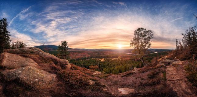 Panoramablick über den Harz