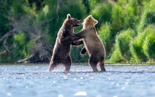 Wrestling Alaska Style