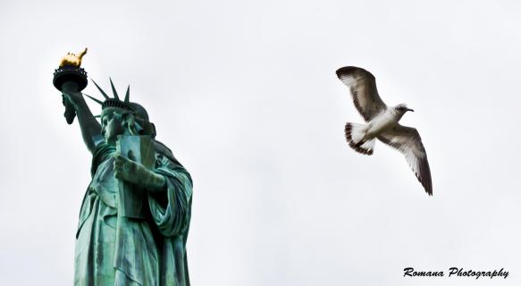 Statue of Liberty and Seagull - Freiheitsstatue und Möwe