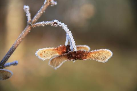 52 fotografieren Sie ein-Winterbild_jana-thiem-eberitsch