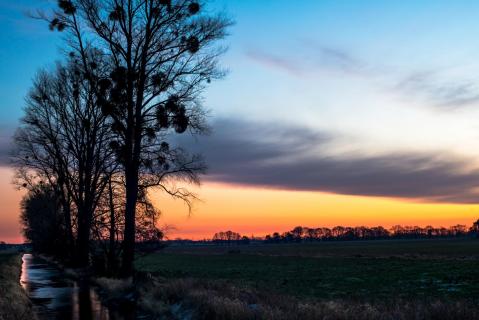 Sonnenaufgang über der Lewitz