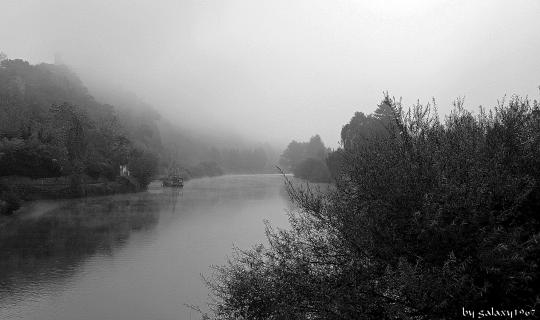 Nebel an der Lahn 