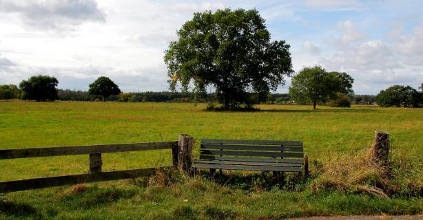 Bank vor der Kuhweide