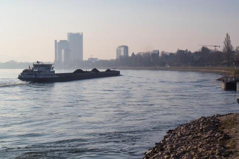 Der Rhein bei Bonn