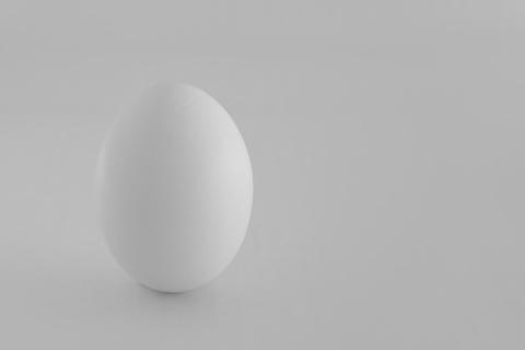 Das Ei