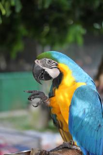 gib mir die Hand