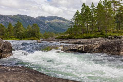 Wildwasser