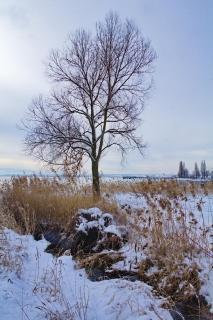 52 Fotografieren Sie Ein-Winterbild!_Thorsten_Meisner