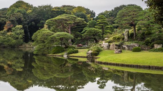 Japanischer Garten.