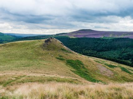 Crook Hill