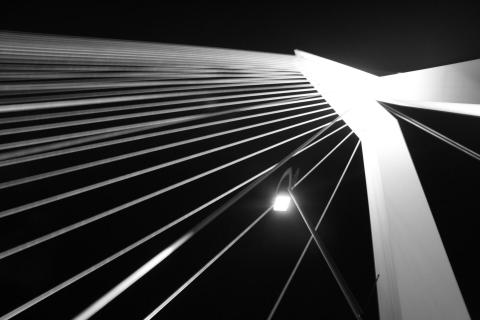 Erasmusbrücke bei Nacht in Schwarz/Weiß