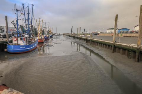 Hafen bei Ebbe