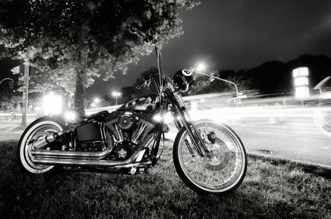 Harley Days