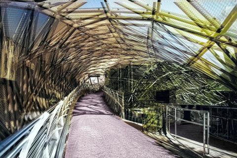 Murinsel