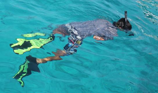 Blue water