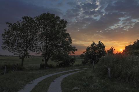 Scheideweg