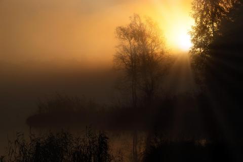 nebelsunset hochmoor_wurzacher_ried