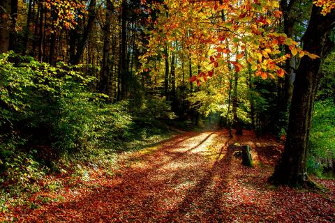 herbst karsee