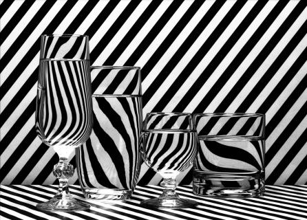 Glas zebra 1