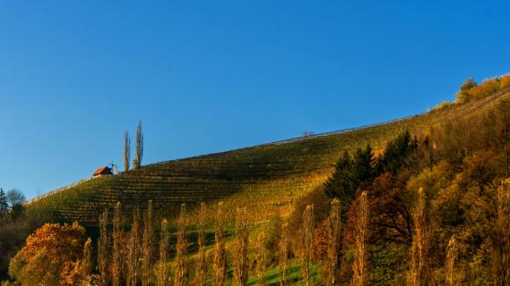 Steirischer Herbst