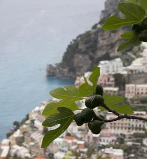 Positano, ich komme...