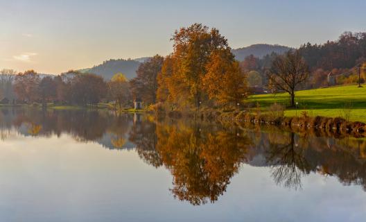 Gespiegelter Herbst