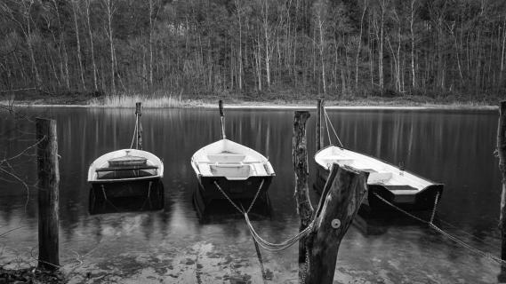 Die letzten 3 Boote im Winter 