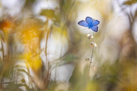 Herbstbeginn