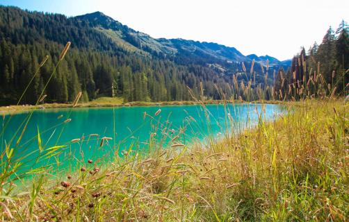 Der Herzsee im Kleinwalsertal