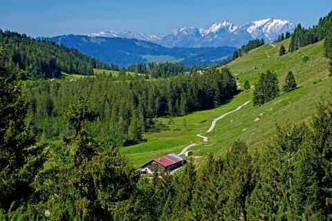 Gutschwanden Alpe vor Säntis
