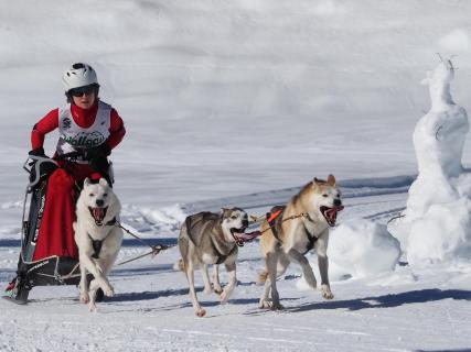 Schlittenhunderennen_Wallgau_Schneefrau