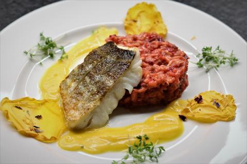 Skreij Filet mit Rote Beete Risotto