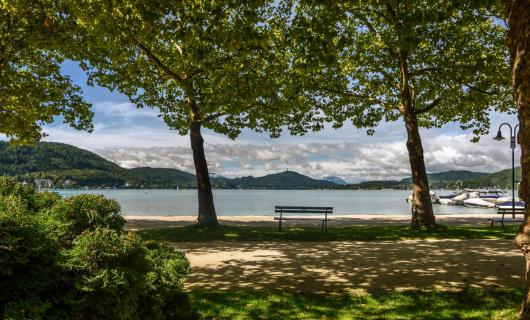 Grüner Blick auf das Wörtherseeufer