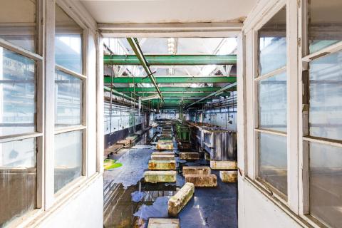 shg medienfotografie 3542