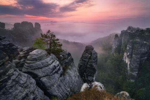 Morgens an der Bastei