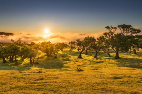 Sonnenuntergang im Paradies