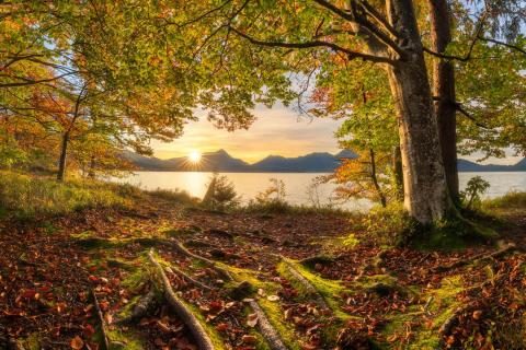 Herbstlicher Walchensee