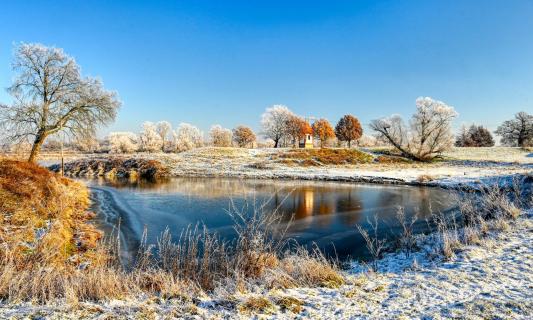 Elbufer im Winter