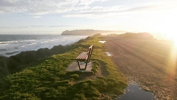 Dunedin NZ Saint Clair