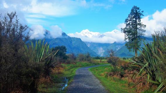 Lake Matheson Area West Coast NZ