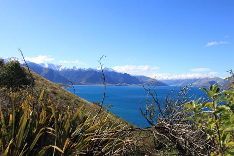 Lookout btw Wanaka & Haast