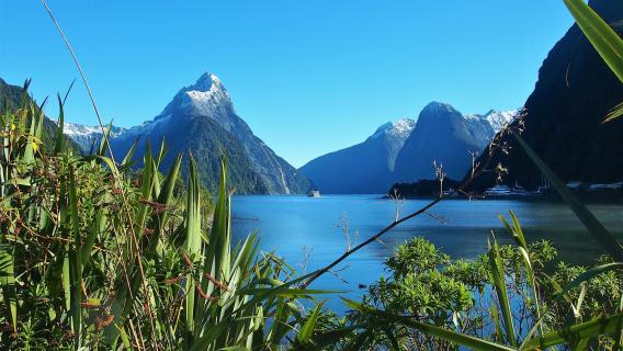 Milford Sound NZ