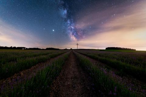 Bavarian Valensole