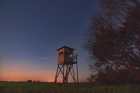 Sternklare Nacht mit Hochsitz eins Jägers 