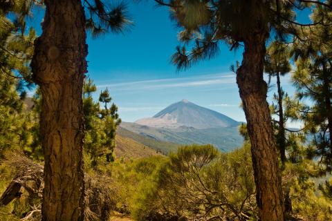 Kanarischer Sommer (Teneriffa)