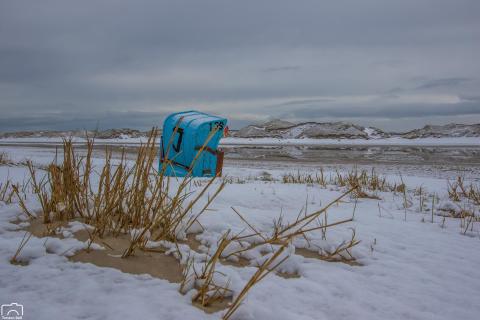 Amrum